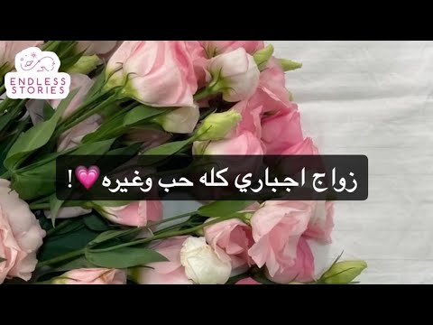 قصة زواج اجباري كله حب وغيره