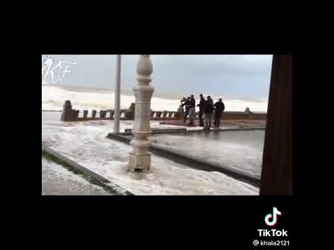 حالات واتس صباح الصباح البشرية طلع النهار بعد الفجريه واسكندريه غرقانه ميه زيزو النوبي