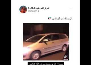 ذبات كويتين 1
