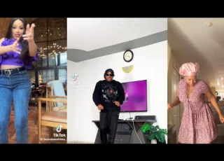  SHAKE THAT THING BY MAD G TIKTOK DANCE CHALLENGE COMPILATION