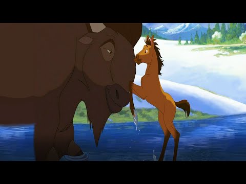 حصان شقي جدا وشجاع ومن صغره باين عليه انه هيبقي قائد قطيع الاحصنه البرية