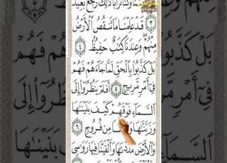  سورة ق من الآية 1 إلى الآية 14 بصوت ملائكي رقراق تخشع له القلوب كنز المعرفة مجدي بدوي