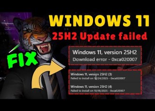  Windows 11 25H2 Update Failed Install Error Fix