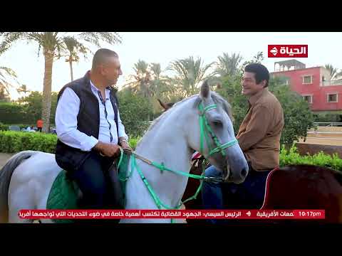 واحد من الناس الفنان باسم سمرة في ضيافة الإعلامي عمرو الليثي