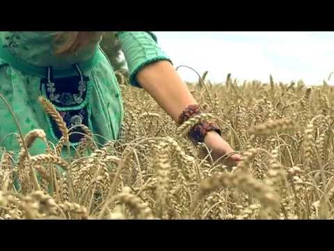 Kitava I Žeme Mano Official Music Video