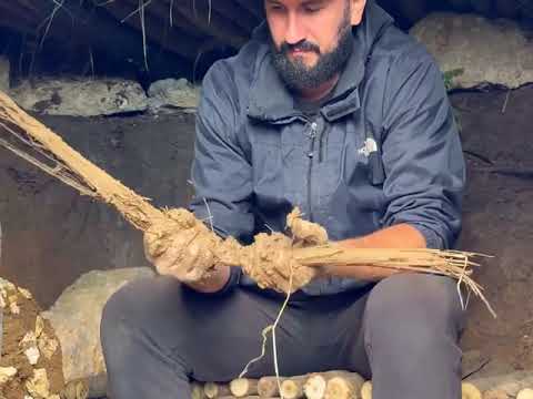 Https Vt Tiktok Com ZSUANFM8P