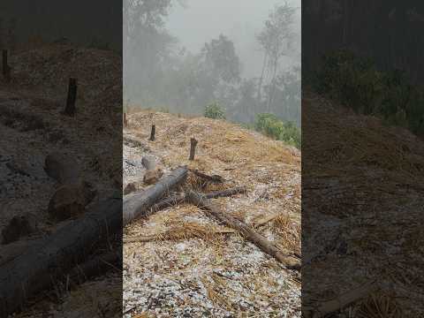 Ngaman Ah Kache Nau A Kathil Toh