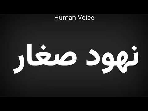 How To Pronounce نهود صغار