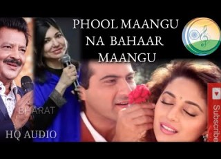  Phool Mangu Na Bahar Mangu Raja 1995 Udit Narayan Alka Yagnik Nadeem Shravan Sameer