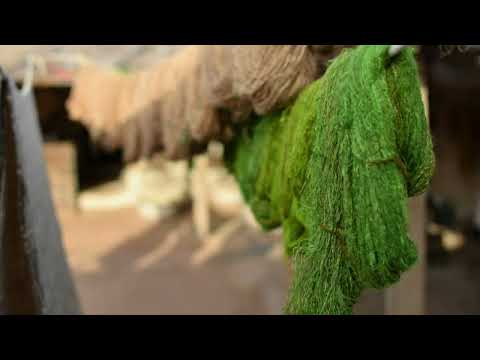 The Weavers Of Bhujodi India Vankar Vishram Valji