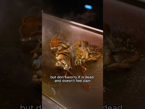 GRAFISCH Hummer In Einem Mit Einem Michelin Stern Ausgezeichneten Restaurant