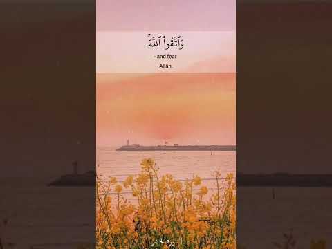 يا أيها الذين آمنوا اتقوا الله فارس عباد