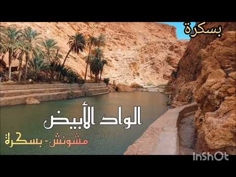 أغنية ياليل ياليل ياروحي يا ناس هملت غزالي براهيم البسكري