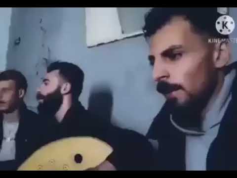 حظي بالهوا اعشق انا الغريبة ما ينفعني دوا الا عناق الحبيبة حالات واتس اب