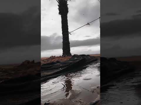 انساه وانسى ذكراه والقاه بحلامي