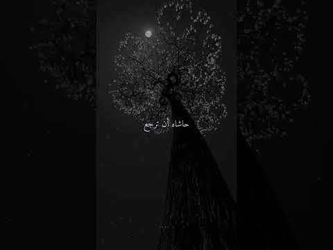 لكن لنا فيه ظن لا يخيبنا