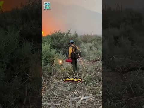 رجال الإطفاء ي شعلون النار لمكافحة الحرائق