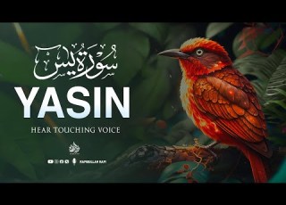 Surah Yaseen سورة يس Relaxing Quranic Flow For Calm Mind Deep Sleep Quranforsleep