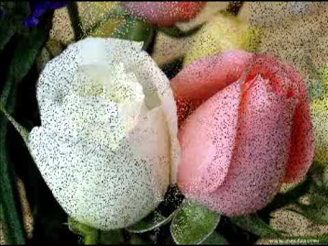 مهرجان أنا مش شاب نايتي 2012