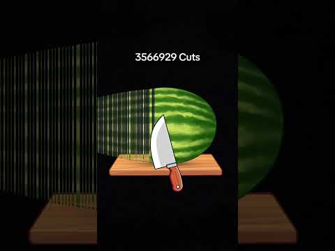 Https Vt Tiktok Com ZSUQHLuMD How Did I Cut So Much Lol