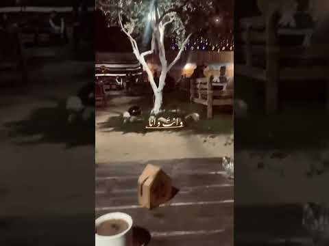 وانت وانا ياحبيبي انا