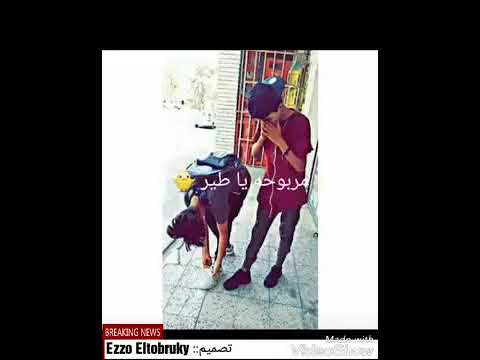 مربوحة يـاطير