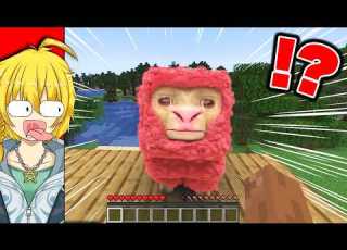  閲覧注意 リアルすぎて気持ち悪いマインクラフト マイクラ Minecraft