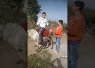  بءلك انا مبعرفش اسوق انت بتفهم