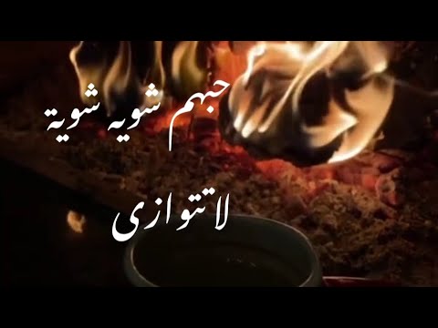 حبهم شوية شوية هالة القصير