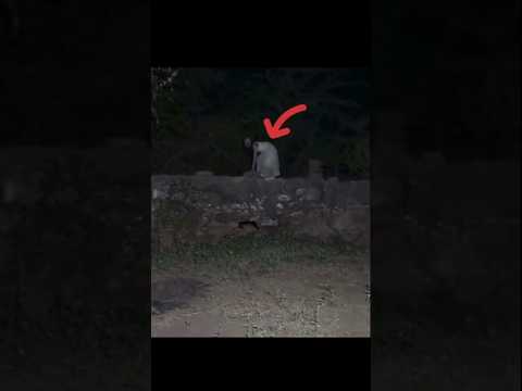 فيديو مرعب جدا لمخلوق غريب رعب اكسبلور Explore