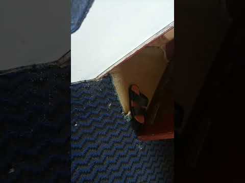 شاهد وركزو ماحصل من كرثه في احد بيوت من بيوت اليمن ماقد حصلت في الجريمه