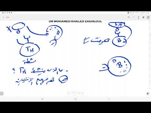 معلومة مهمة جدا في المناعة دكتور محمد خالد زغلول