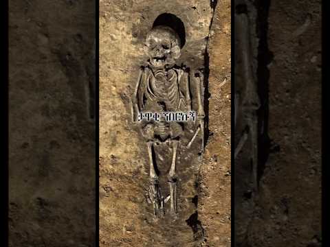 Ethiopia Habesha Orthodox Tewahedo Mezmur Orthodoxmezmur Shorts Ethiopia Habesha Orthodox Tewahedo Mezmur Orthodoxmezmur Shorts