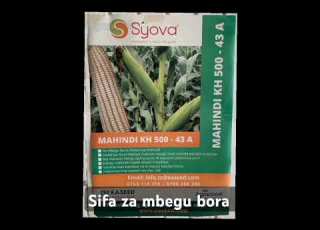  Sifa Za Mbegu Bora Farming Chickenfarming Agriculture Chickenfarmingbusiness Chickenfarmingbusi