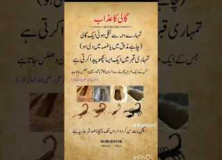  گالی کا عذاب Islamicpost Islamicknowledge Islamicstatus Islamicinformation Foryou Viralvideo