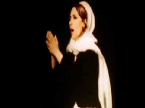 فيروز علي علي