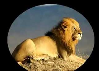 Lkhozimi Hbil Li Iti9 Flamra