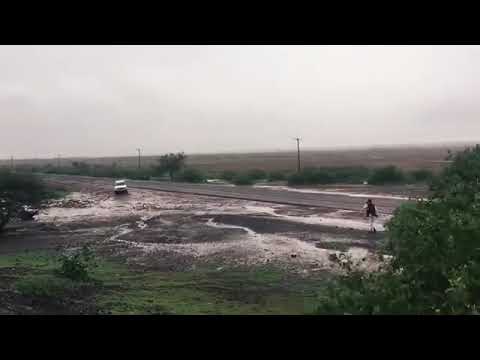 التاج مكي رجعت بعد سنين بلدك