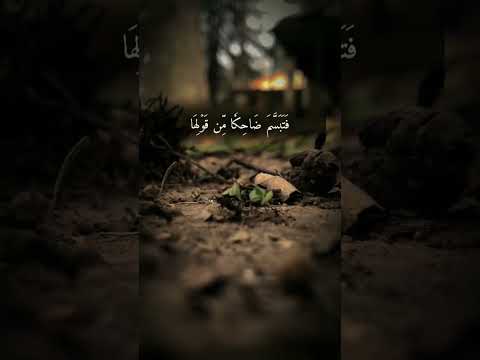 قالت نملة يا أيها النمل ادخلو مساكنكم لايحطمنكم سليمان وجنوده وهم لايشعرون القارئ بلال دربالي