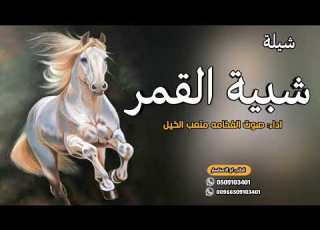  افخم شيلة شبية القمر 2024 اداء صوت الفخامه متعب الخيل