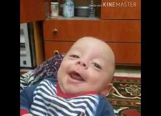 حبيب امو