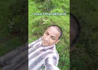 Jali Jali Bollywood