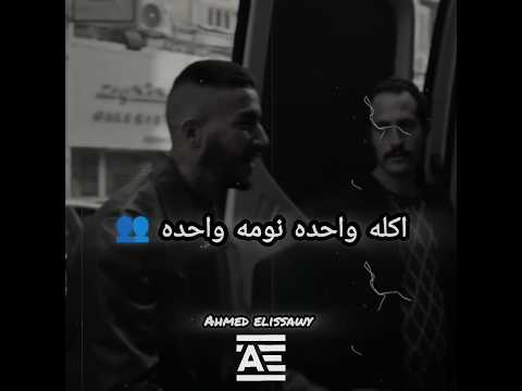 زميلي معايا في النحله