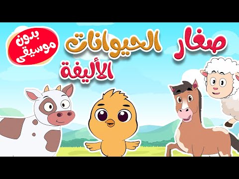 أغنية أين أبي صغار الحيوانات الأليفة بدون موسيقى