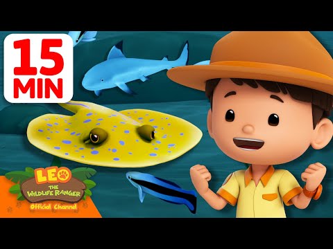 Underwater Rescue For The Stingray 15 Min Leo The Wildlife Ranger Animals