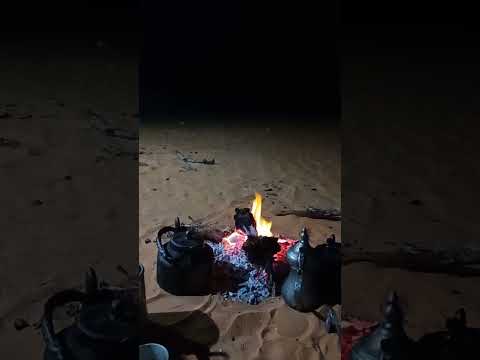 قصه الرجل المسافر مع الذيابه ١٤٧