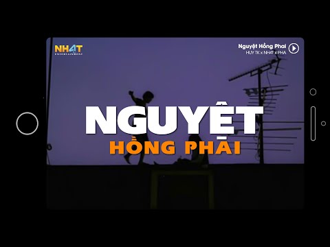 Nguyệt Hồng Phai HUY TK X NH4T X PHA Lofi Version By N H 4 T Lyrics Video