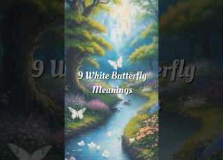  9 White Butterfly Meanings Shorts Butterflymeaning Whitebutterfly
