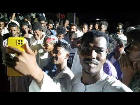 الشاعر الصادق فضل الله