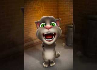 יוסי אבוקסיס רציתי שתדע מחווה לאוהדי ביתר